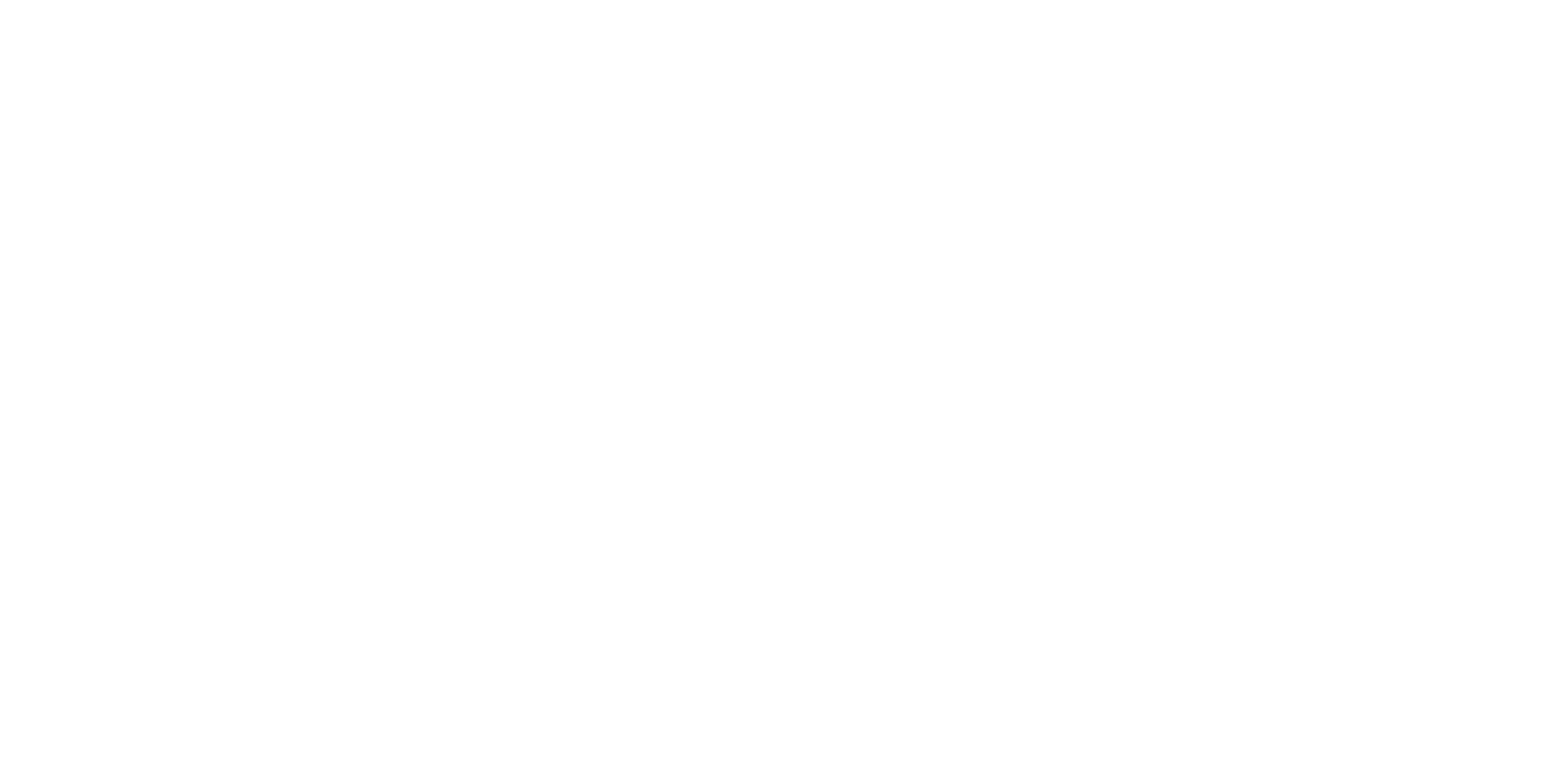 飞思未来（深圳）科技有限公司